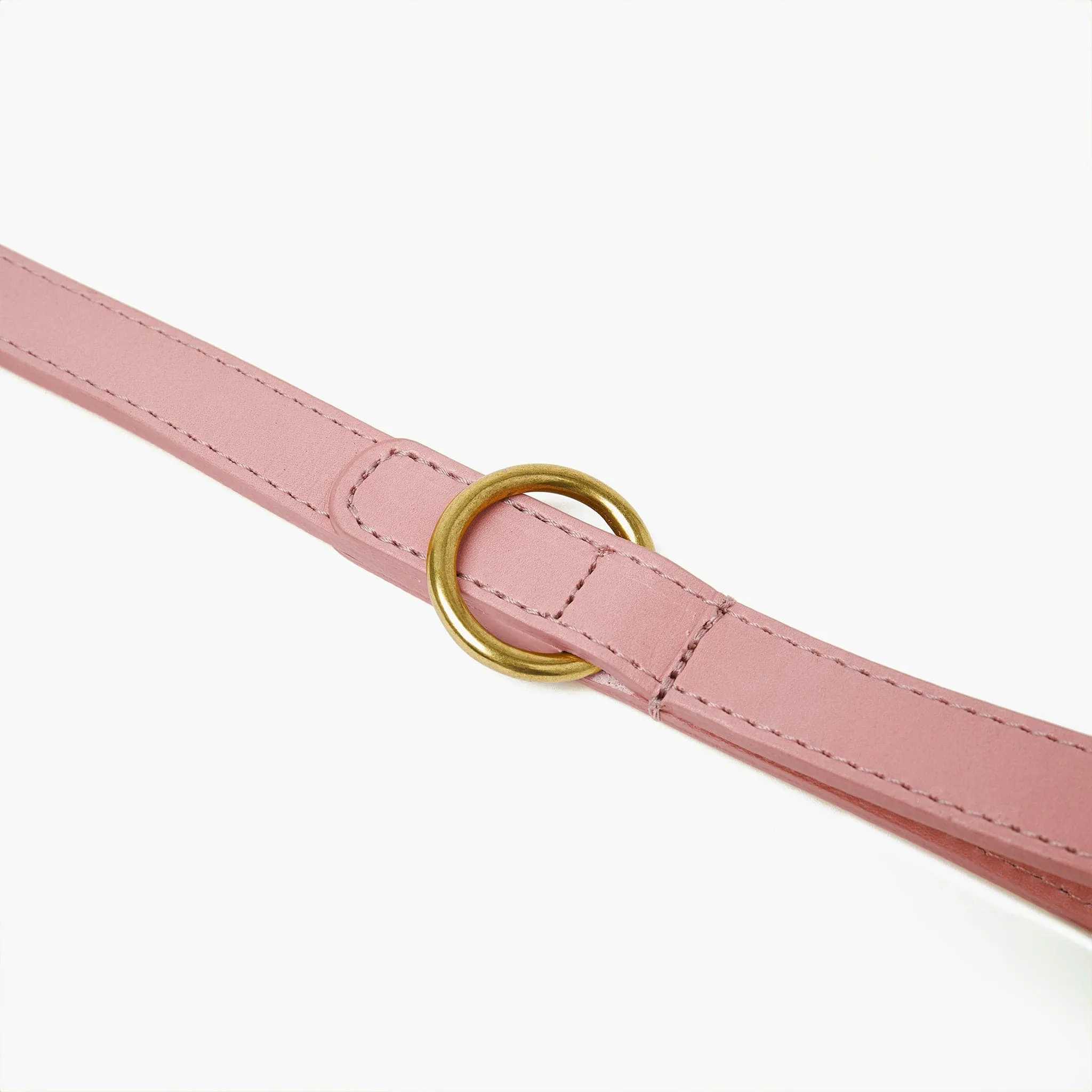 Baby Pink Leather Dog Collar & Lead Set with Gold Hardware