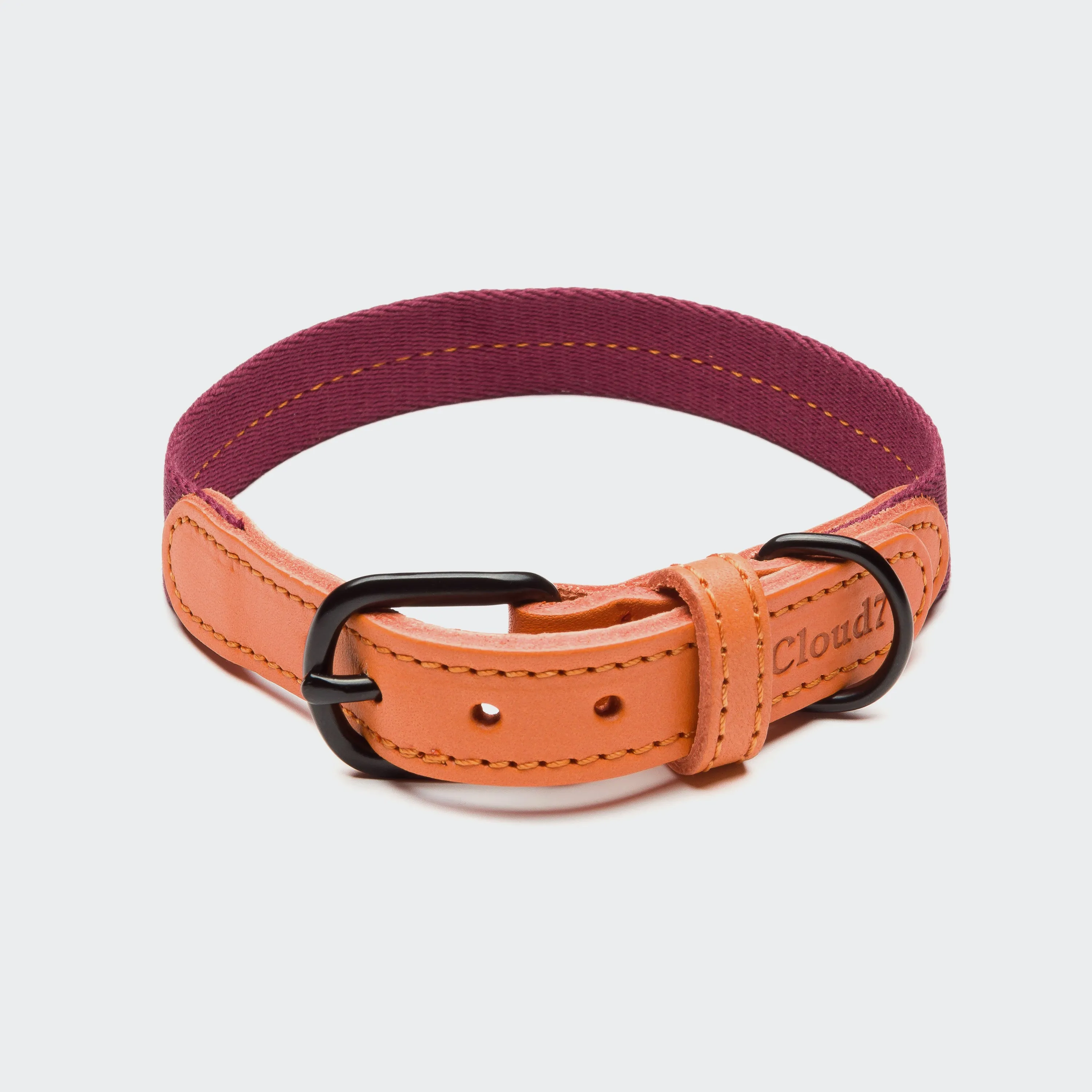 Best Cloud7 Dog Collar - MEDIERA