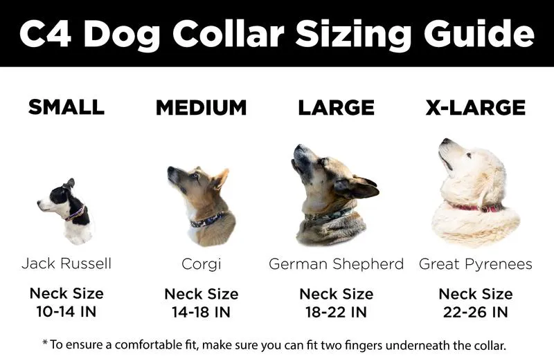 C4 Dog Collar (Dairy Queen)