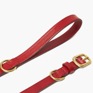 Crimson Red Leather Dog Collar & Lead Set with Gold Hardware