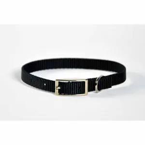 Dog Collar Skinny - 10" Purple