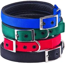 DOG COLLAR