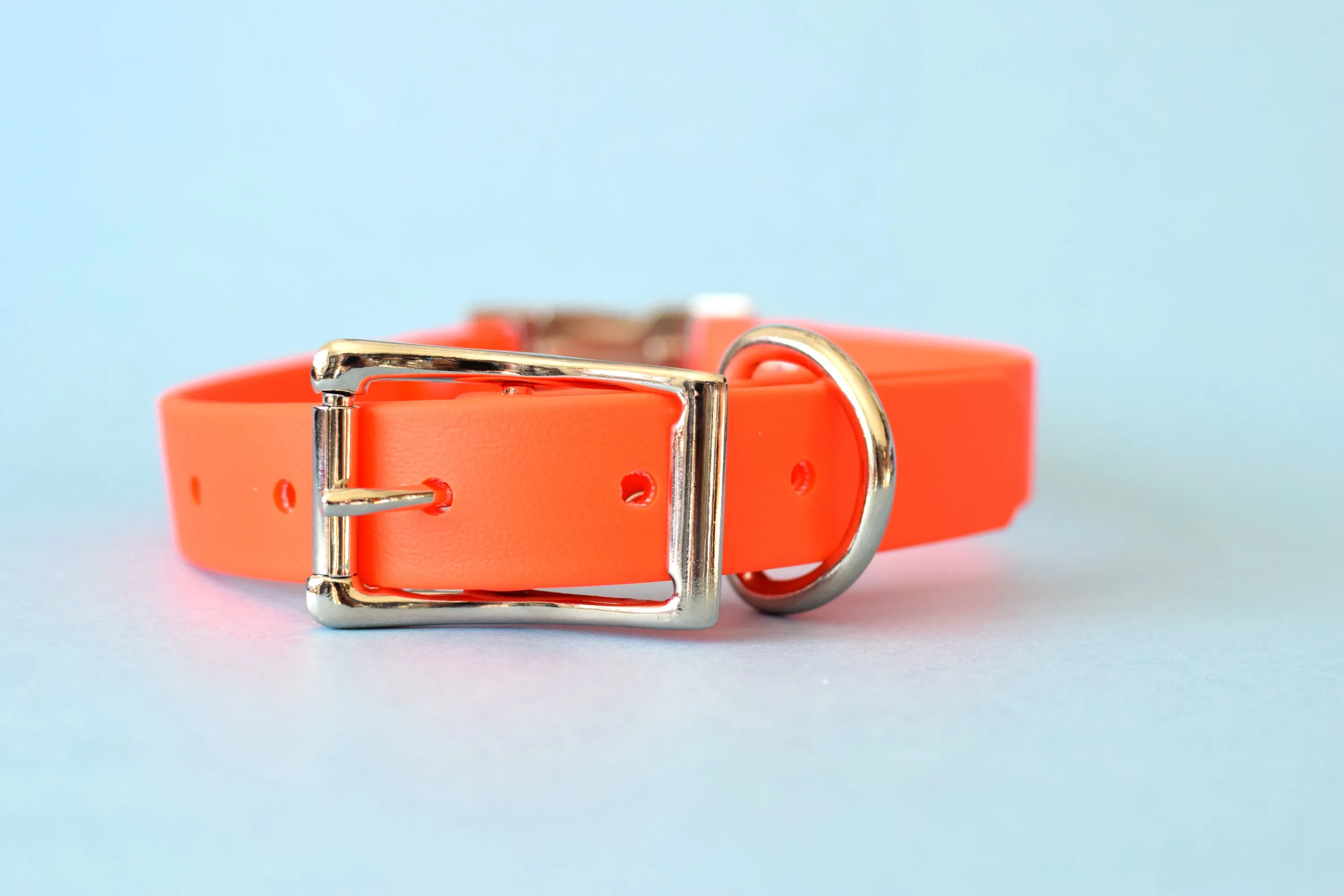 HARDWARE RETIREMENT SALE - Hot Orange & Nickel Biothane Dog Collar