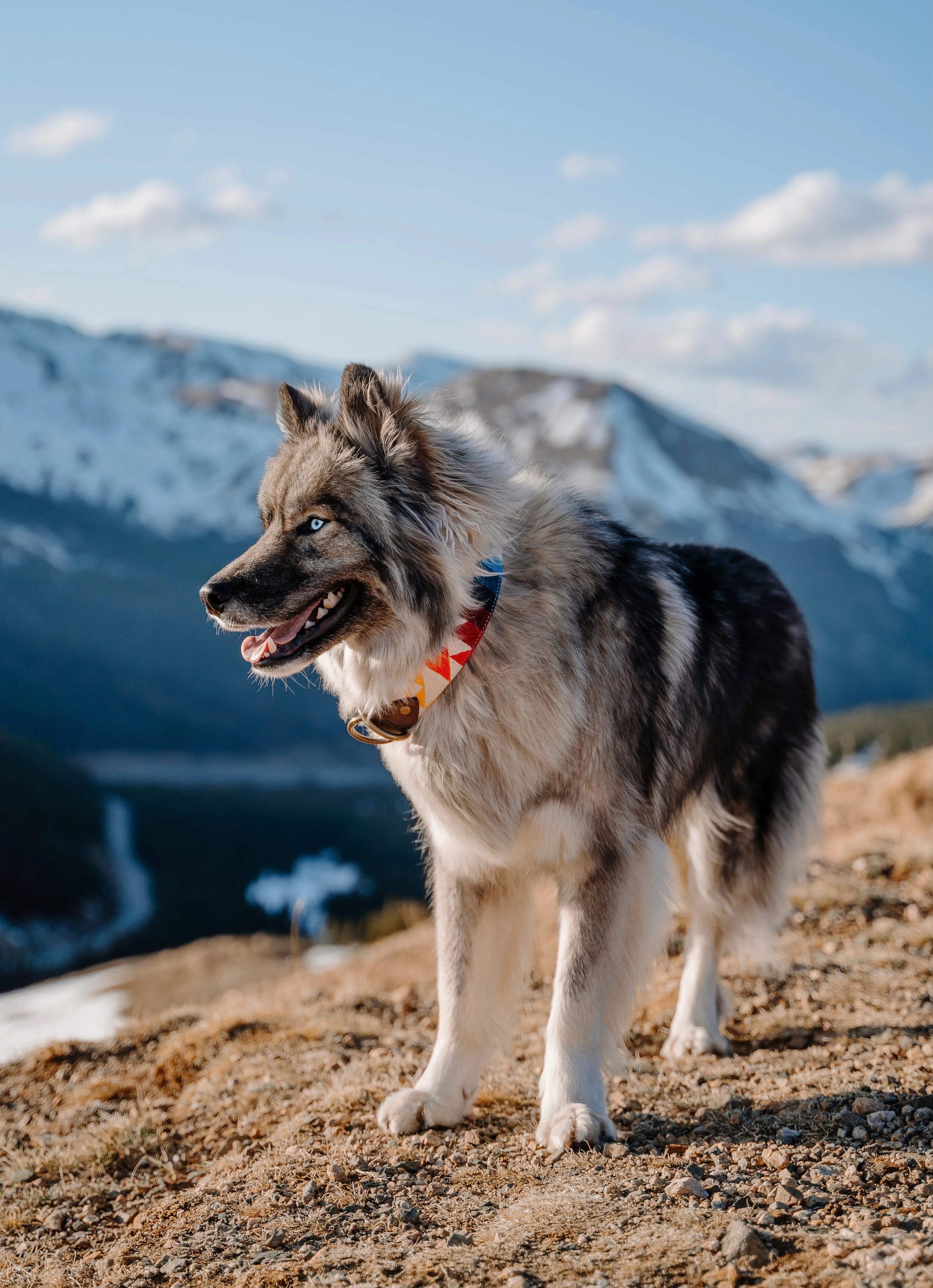 Kobuk Collar