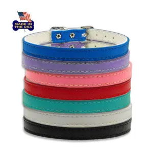 Perfect Small Pet Dog Collar, Made in the USA