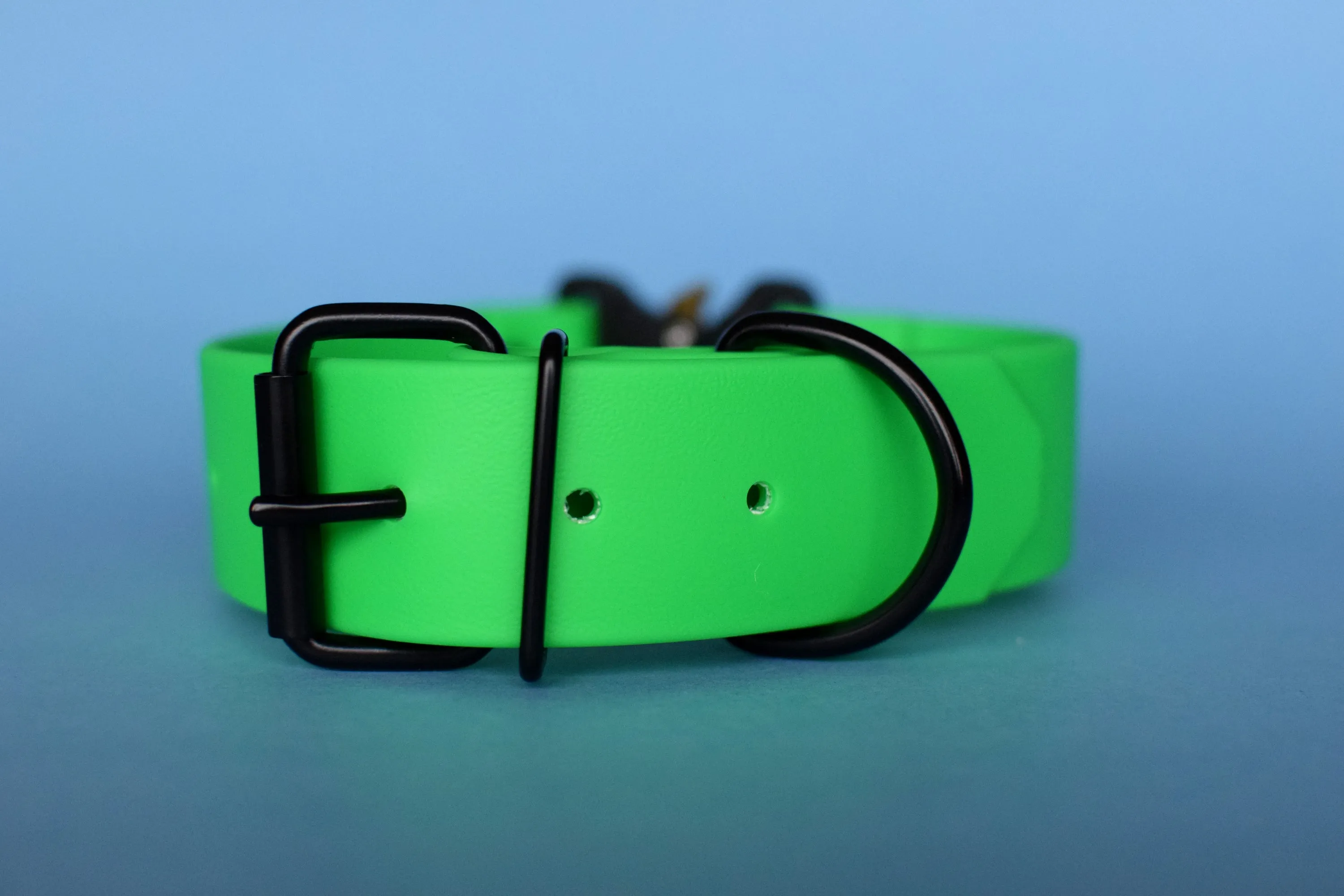 PREMADE COLLECTION - Neon Green & Black Biothane Dog Collar