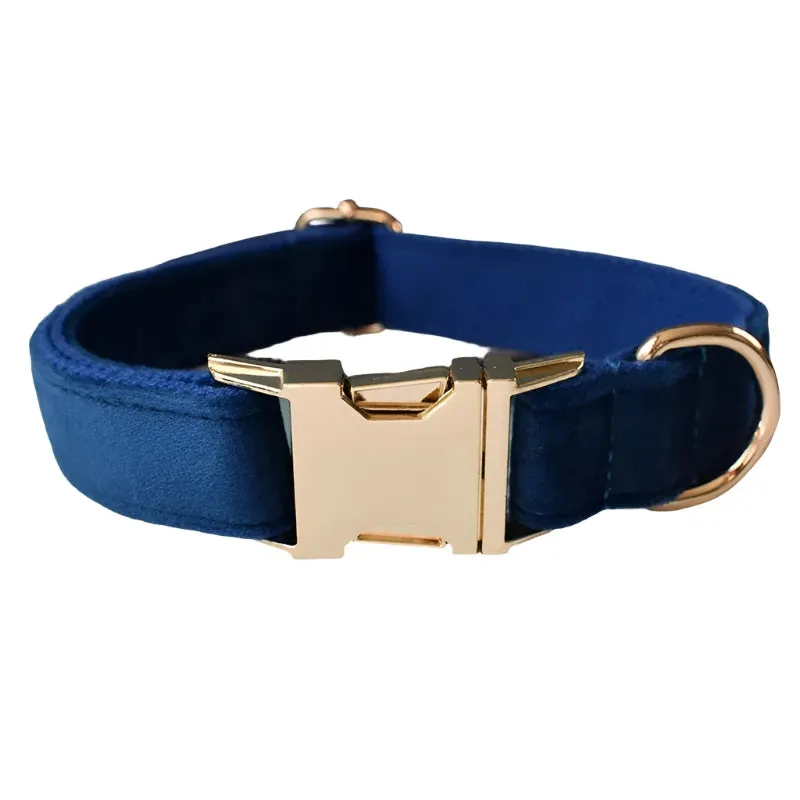 Royal Blue Velvet Dog Collar - Personalized