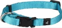 ZIGGI DOG COLLAR TURQUOUSE